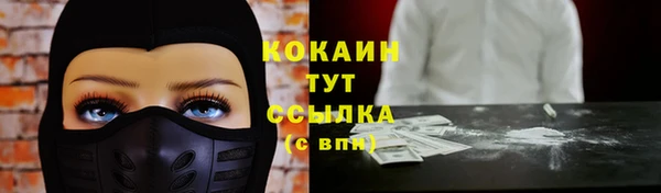 PSILOCYBIN Верея