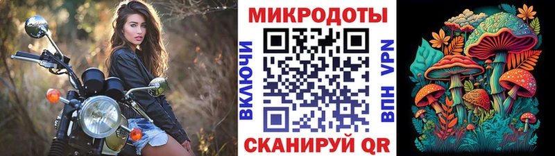 Купить закладки  Кировск  Галлюциногенные грибы Psilocybe 